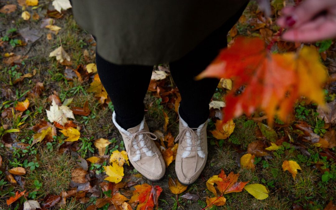 Fall Yard & Lawn Care Checklist