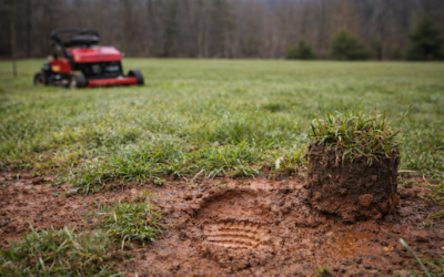 How Virginia Clay Soil Impacts Your Lawn in Early Spring